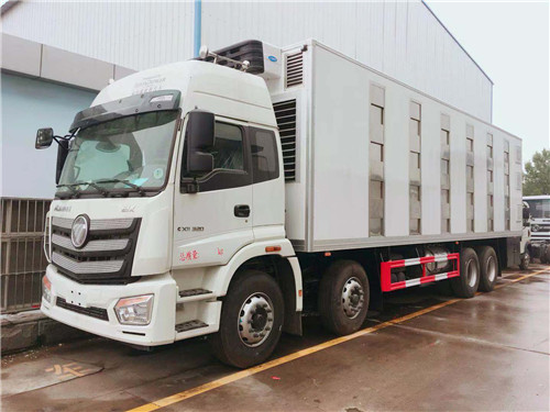 歐曼前四后八雛禽運輸車圖片參數詳細介紹