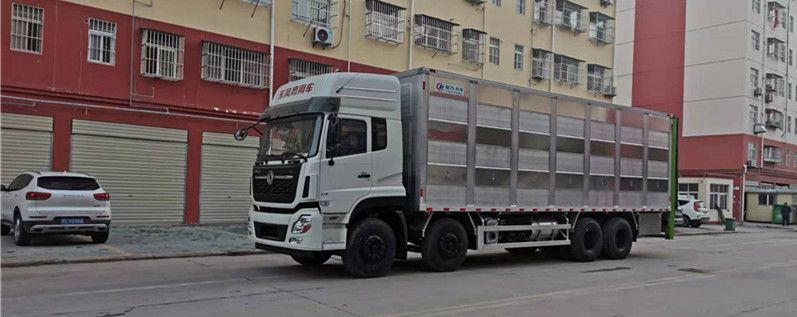 純鋁合金高欄拉豬車 廂式恒溫9.6米拉豬車優點