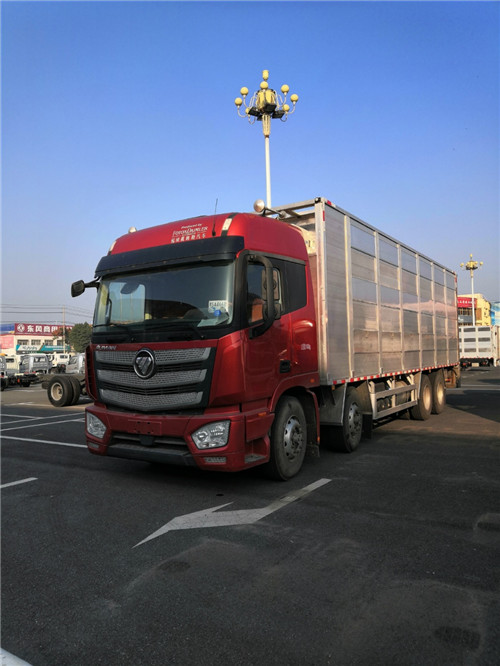 國六歐曼前四后八歐曼畜禽運輸車選歐曼，營運、環保齊全，提供整車合格證