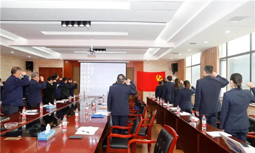 隨州市稅務(wù)局第一稽查局與程力汽車集團(tuán)的全體參會成員一起重溫國歌、并向黨旗莊嚴(yán)宣誓。