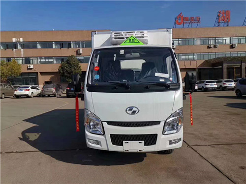 躍進小福星汽油國六醫療廢物轉運車